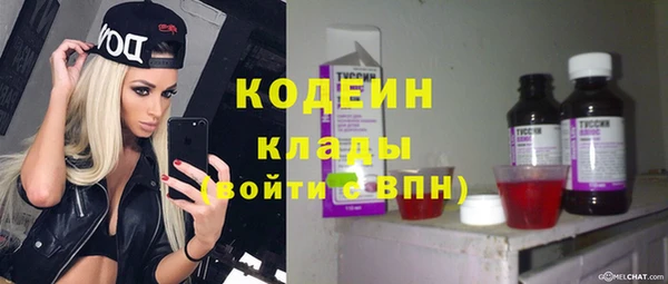 винт Вяземский