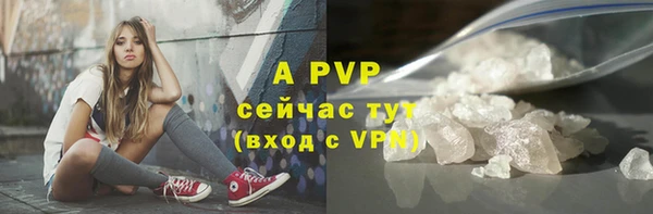 винт Вяземский