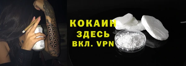 винт Вяземский
