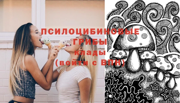 дмт Осинники