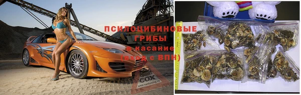 дурь Вязьма
