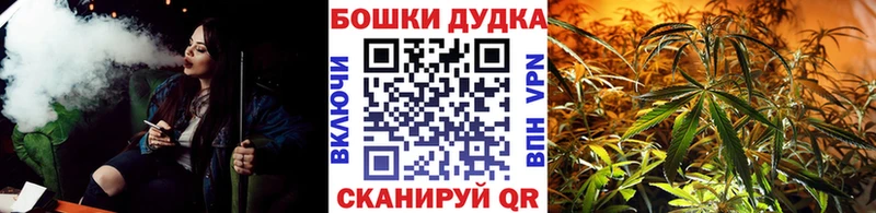 Бошки марихуана OG Kush Ачхой-Мартан