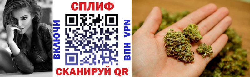 Бошки Шишки планчик Ачхой-Мартан